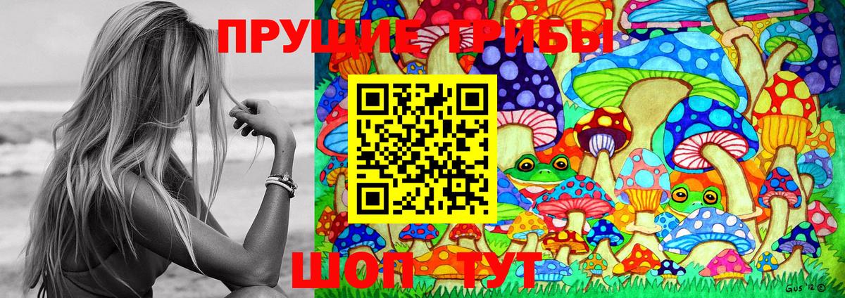 Псилоцибиновые грибы мухоморы Сертолово