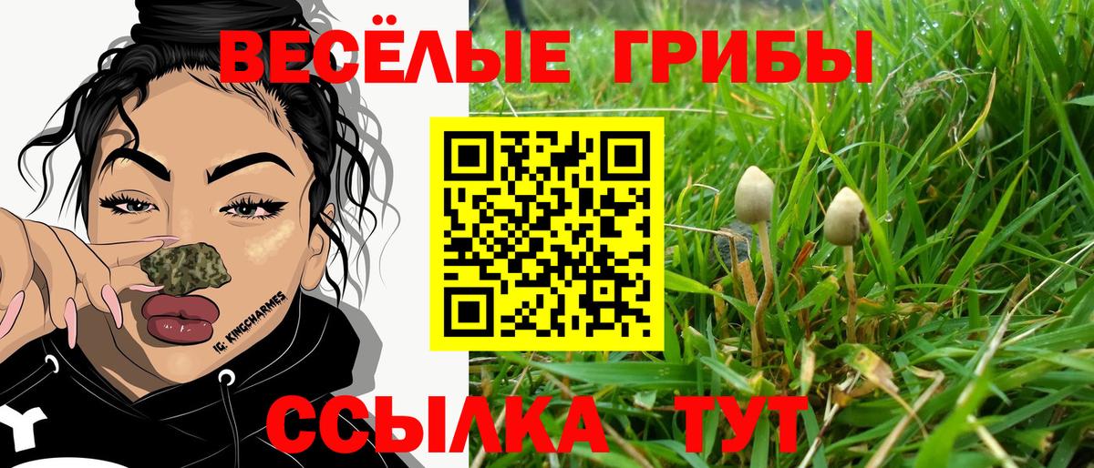Сертолово  Галлюциногенные грибы мухоморы  Вход с VPN  Псилоцибиновые грибы Psilocybine cubensis 
